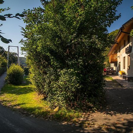 Penzion Krizky Malá Skála Exterior foto